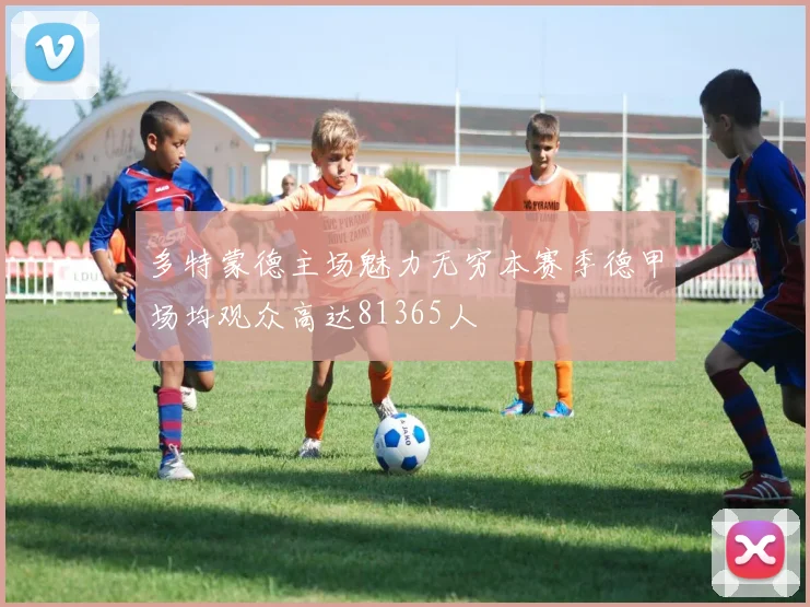 多特蒙德主场魅力无穷本赛季德甲场均观众高达81365人
